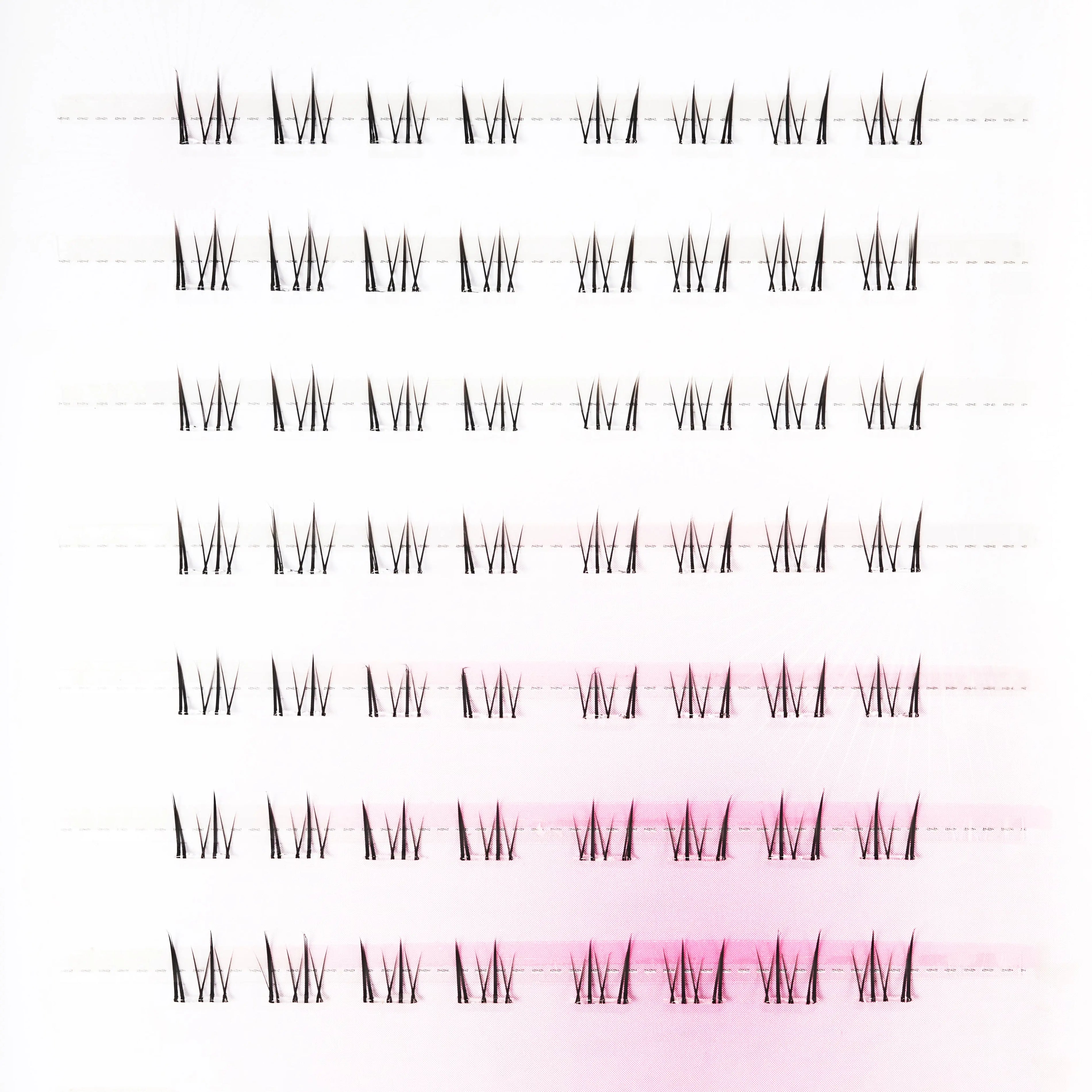 Lashes